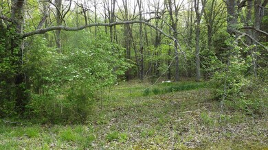 Existing driveway is another cost saving feature!