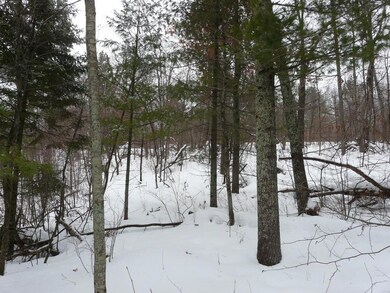 30406 Minerva Rd, Danbury, WI 54830 - photo 6