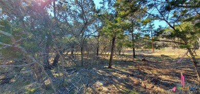 15957 Salado Dr, Temple, TX 76502 - photo 5