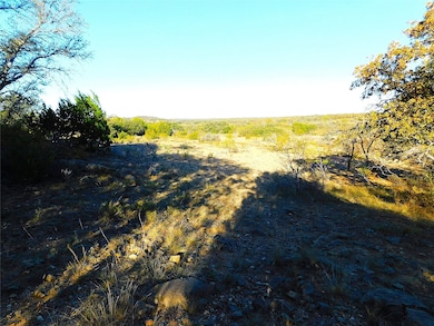 Tract 4 County Road 131, Brownwood, TX 76801 - photo 7