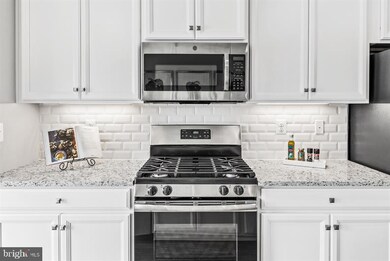 2916 Waterfront Way unit MOZART 4ST-SPEC, Baltimore, MD 21230 - photo 5