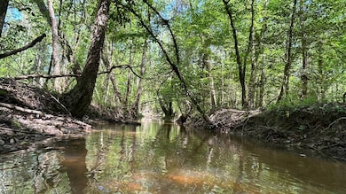 0 Lloyd Mill Rd unit 11615934, Andalusia, AL 36421 - photo 7