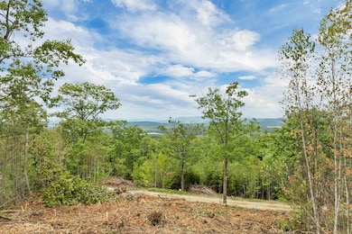 0 Long Stack Ln, Wolfeboro, NH 03894 - photo 7