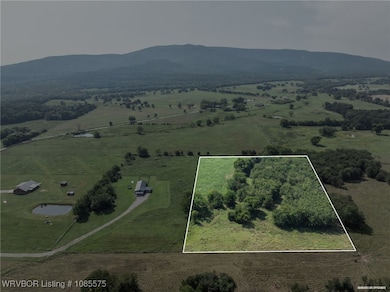 TBD Calhoun Rd, Shady Point, OK 74956 - photo 2