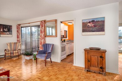 Living with sliders to deck and kitchen