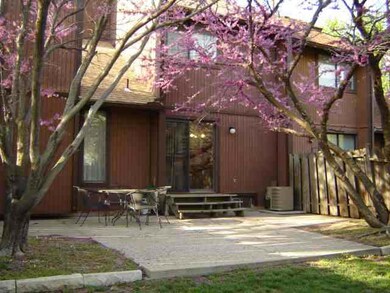BEAUTIFUL REDBUD TREE BLOOMS IN THE SPRING