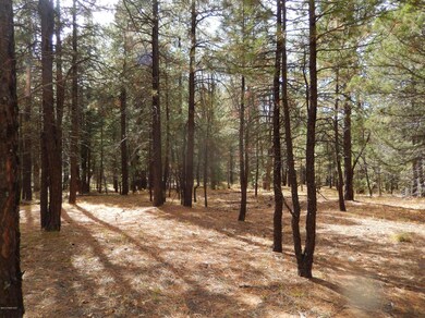 The Property
