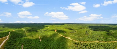 0 Fox Ln, Savannah, TN 38372 - photo 7