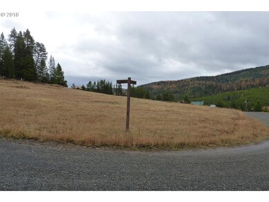 0 E Tabor, Granite, OR 97877 - photo 7