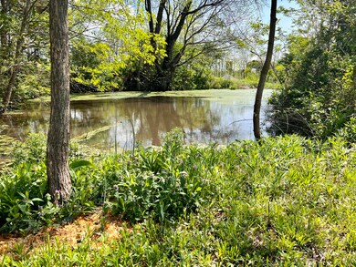 849 Mount Tabor Rd, Ewing, KY 41039 - photo 6