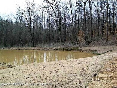 pond1