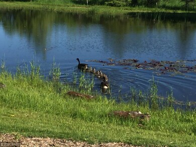 deerducks
