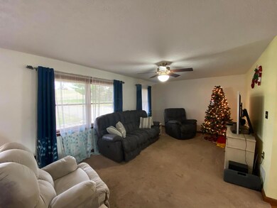 7401 Tarlton Rd, Circleville, OH 43113 - photo 5