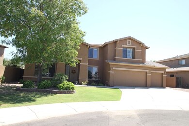 Front Yard
