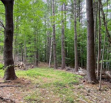 unlisted-address, Conway, MA 01341 - photo 3