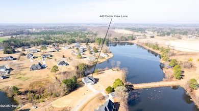 443 Cedar View Ln38