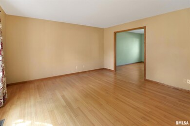 5717 W Rachael Ct, Peoria, IL 61615 - photo 5