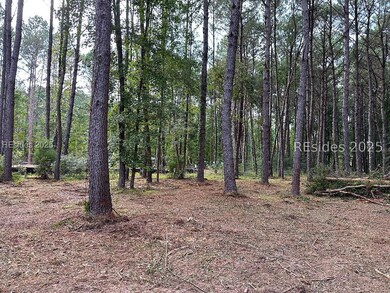 464 Paige Point Bluff, Seabrook, SC 29940 - photo 6