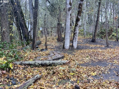 806 Sundance St, Eugene, OR 97405 - photo 6