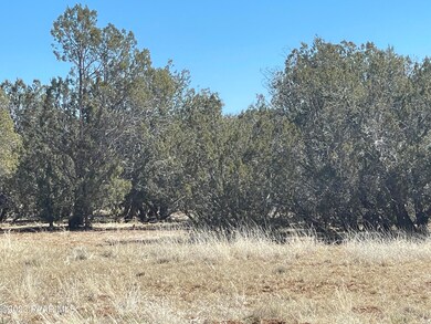 00 Stockmans Rd, Ash Fork, AZ 86320 - photo 3