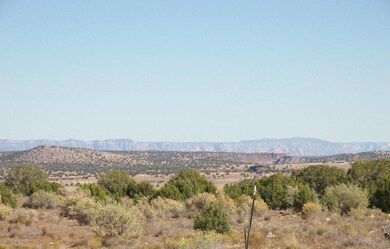0 Juniper Ridge Rd unit 1014613, Paulden, AZ 86334 - photo 3