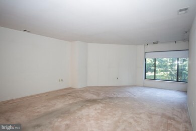 Towers Condominiums unit 205B, Baltimore, MD 21209 - photo 5