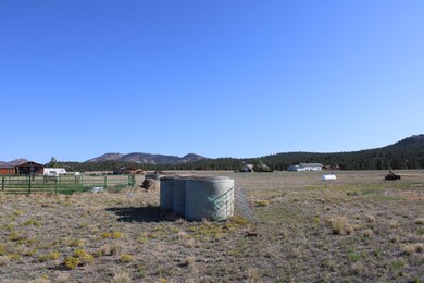 IMG_1965 (3)