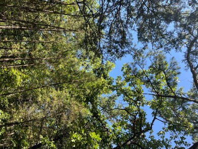 Tract 1 SE 1083 Road Ave, Red Oak, OK 74563 - photo 5