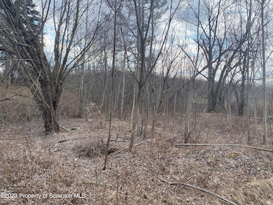 700 Block Rear North Valley Ave, Olyphant, PA 18447 - photo 4