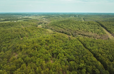 DJI_0938