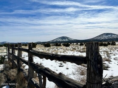 IMG_1681