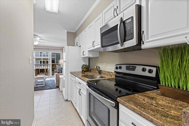 2 137th St unit 206, Ocean City, MD 21842 - photo 3