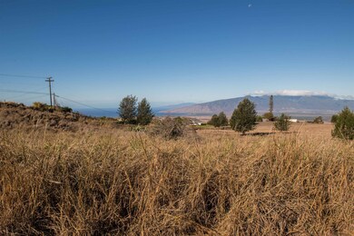 0 Naele Rd unit 408110, Kula, HI 96790 - photo 3