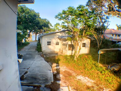 Back View