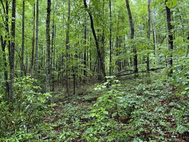 0 Burgess Loop unit RTC2389168, Crossville, TN 38572 - photo 7