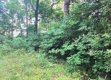 895 Dresden Dr, Perry Township, OH 45118 - photo 2