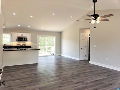 391 Burnt Tree Way, Orange, VA 22960 - photo 3