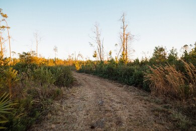 00 Chesapeak Rd, Alma, GA 31510 - photo 4