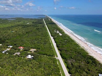 Aerial View.