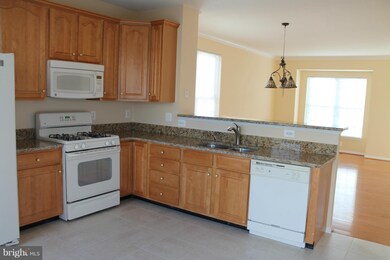 25392 Shipley Terrace, Chantilly, VA 20152 - photo 2