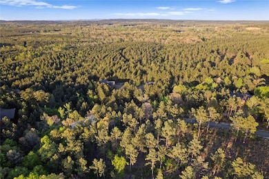 Bird's eye view with a view of trees