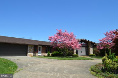 2150 Mount Olive Rd, Toms Brook, VA 22660 - photo 2