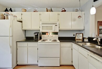 IMG_0911_IMG_0921 copy