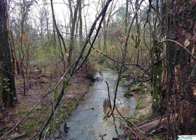 0 Randles Rd unit 1113269, Grant, AL 35747 - photo 4