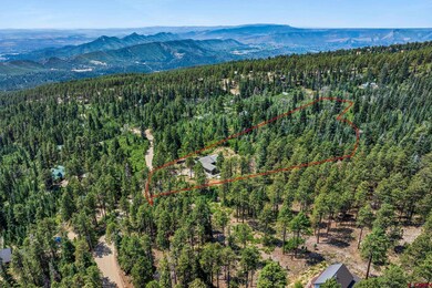 1523 Silver Mesa Driveway, Durango, CO 81301 - photo 6