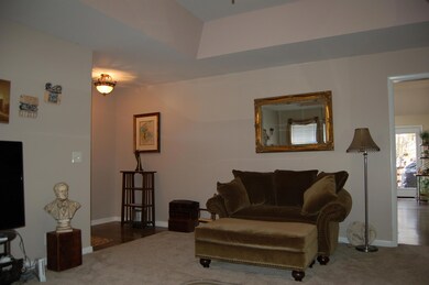 Living Room with Tray Ceiling 