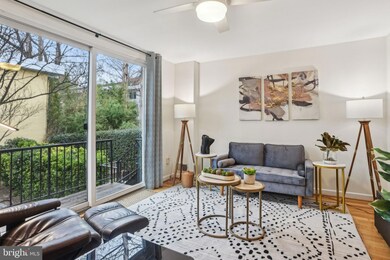 715 3rd St SW unit 608, Washington, DC 20024 - photo 6