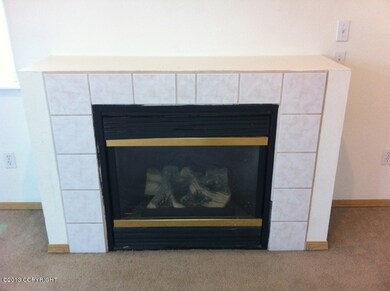 Fireplace in LR