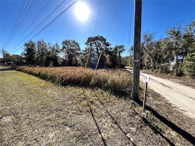 0 E Hwy 25 unit MFROM691737, Belleview, FL 34421 - photo 3