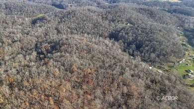 34673 Broderick Hollow Rd, Salisbury Township, OH 45769 - photo 6